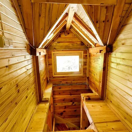 Brvnare 3 Zvezde Brvnara Veljko * Kokin Brod